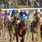 Dupla venezolana se convierte en los jockeys más destacados de la semana
