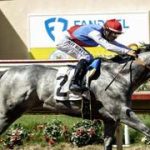 El costoso Brant ($3 millones) regresa el domingo para enfrentar a siete rivales en el Maxfield Stakes (G3)