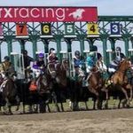Así quedaron los resultados de las carreras en Parx Racing de este jueves 9-7-2026