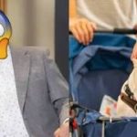 Conductor mexicano es repudiado en redes por violencia hacia los animales ¡Polémica!