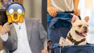 Conductor mexicano es repudiado en redes por violencia hacia los animales ¡Polémica!