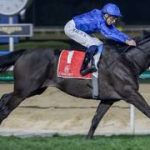 El multicampeón Rebel’s Romance regresa a la acción en Newmarket y apunta a Saratoga