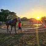 Entérate de la yegua retirada para el Hipódromo Nacional de Valencia 18-07-2026