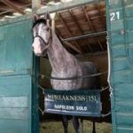 Ganador del Preakness llega a Monmouth Park para correr el Haskell Stakes (G1)