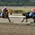 Hace 12 años fue la gesta imbatible de una nueva Triple Coronada venezolana