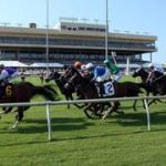 José Francisco D’Angelo va por su primer Stakes en este hipódromo de USA