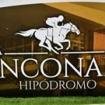 La Rinconada adopta nuevamente la estadística por temporada anual