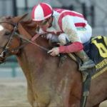 La doble ganadora de Graded Stakes, Fully Subscribed, regresa para el Shuvee Stakes (G2) en Saratoga
