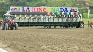 La sociedad perfecta que conmociona a la afición en La Rinconada