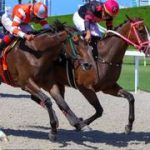 Látigo criollo va a la lista de suspendidos por tropiezos en la recta final de Gulfstream Park