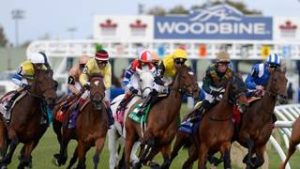 Meridiano te revela el dato secreto para la séptima carrera en Woodbine de este lunes 20-7-2026