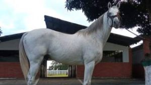 Nueva joya de Constructor White lista para debutar y retar a las favoritas en el 5y6
