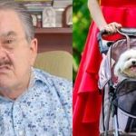 Presentador de «Ventaneando» causa repudio por desear «dar carne envenenada» a animales