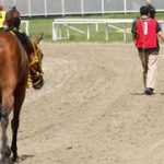 Retiro de ejemplar impacta la nómina en el ciclo no válido