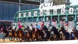 Una millonada reparte Oaklawn Park para la temporada 2026/2027
