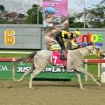 Yeguas nacionales disputan el Clásico este fin de semana