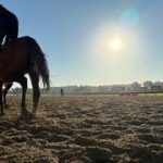 ¡El lunes es el nuevo viernes en Gulfstream Park! aquí los detalles de la nueva estructura de programación
