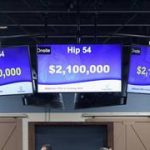 ¡Es hora de la primera gran venta de yearlings del año!