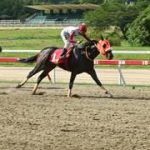 ¡Vuelve el rayo a la pista! El ejemplar más rápido del lote retorna este domingo al ciclo no válido de La Rinconada