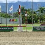 ¿Buscas acertar la Polla? Mira la selección especial de Meridiano Web para este domingo
