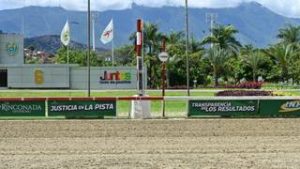 ¿Buscas acertar la Polla? Mira la selección especial de Meridiano Web para este domingo