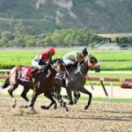¿Mantendrá el invicto? El espectacular tordillo está de vuelta tras más de dos años fuera de acción en La Rinconada