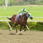 Favoritos de la cátedra para el 5y6 Nacional de la reunión N°31