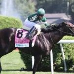 Aquí está lo que necesitas saber sobre la carrera que sepulta a los grandes favoritos