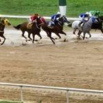 Datos de última hora para el Hipódromo Nacional de Valencia 08-8-2026