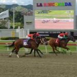 El INH anuncia que un ejemplar participará invalidado para las apuestas en la R31