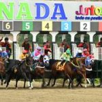 Esta fue la infracción que multaron a dos jinetes en el óvalo de La Rinconada