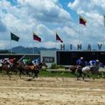 Estos son los retirados de la Reunión N°19 en el hipódromo de Valencia para el sábado 8-8-2026