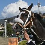 La recomendación exclusiva para la Polla en La Rinconada