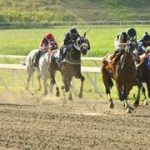 Las razones por las que multaron a un entrenador en La Rinconada