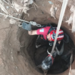 Liberan a un ejemplar que se cayó en un pozo de cinco metros de profundidad