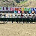 Por esta razón multan a preparador profesional en La Rinconada