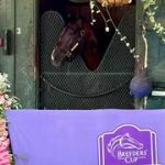 Sepa la racha que cortó Sovereignty con su victoria en el Whitney Stakes (G1)
